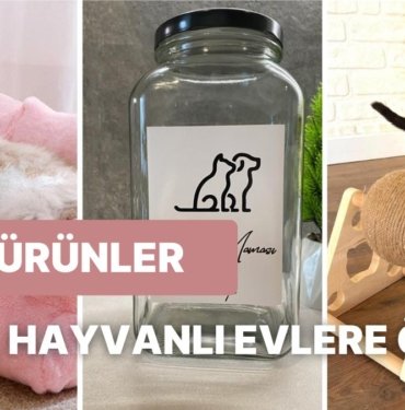 Evinizin Dekoruna Mükemmel Bir Şekilde Uyum Sağlayacak Evcil Hayvan Eşyaları