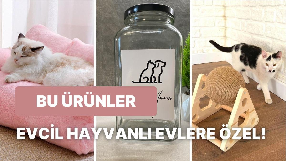 Evinizin Dekoruna Mükemmel Bir Şekilde Uyum Sağlayacak Evcil Hayvan Eşyaları