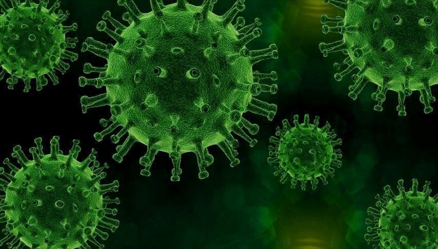 “Alaskapox” virüsü kaynaklı ilk ölüm kaydedildi