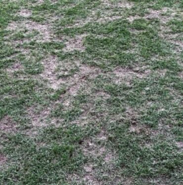 Merakla bekleniyordu! Ankaragücü