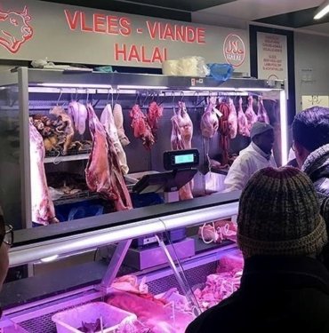 Belçika’daki Müslümanlardan AİHM’nin helal kesim yasağına tepki