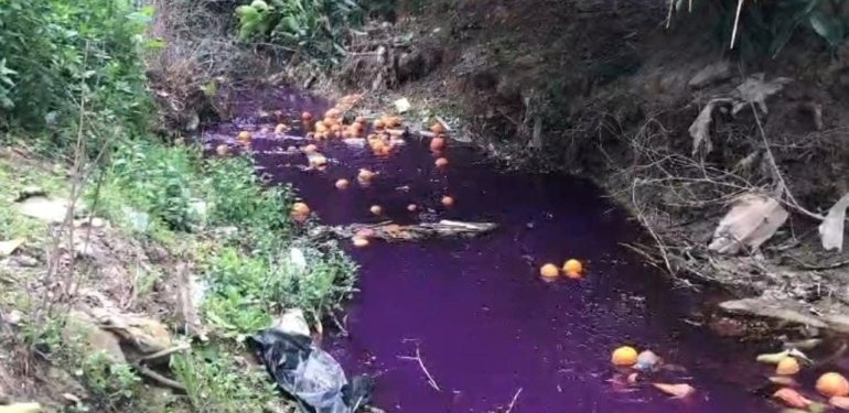 Bu derede artık canlı yaşamıyor: Renk değişiminin nedeni belli oldu