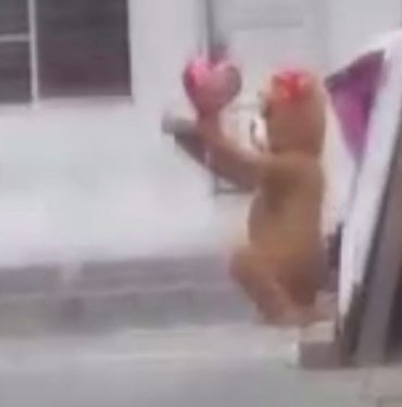 Uyuşturucu satıcısına Sevgililer Günü tuzağı