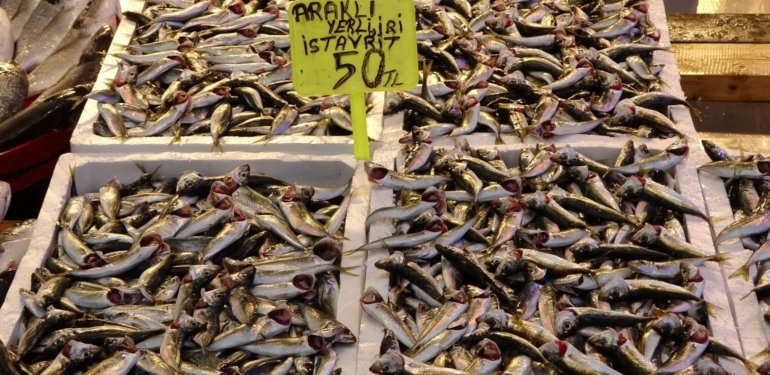 Tezgahların yeni kralı istavrit