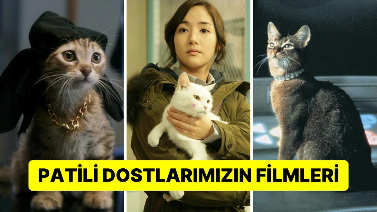 Kimisi Tatlı Kimisi Şeytan: 17 Şubat Dünya Kediler Günü’nde İzlenebilecek En Güzel Filmler