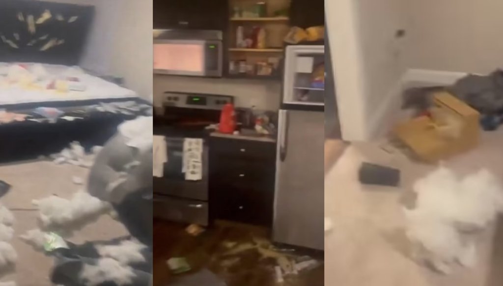 Sevgililer Günü’nde erkek arkadaşından hediye alamayan kadın çılgına döndü! O anları sosyal medyada paylaştı