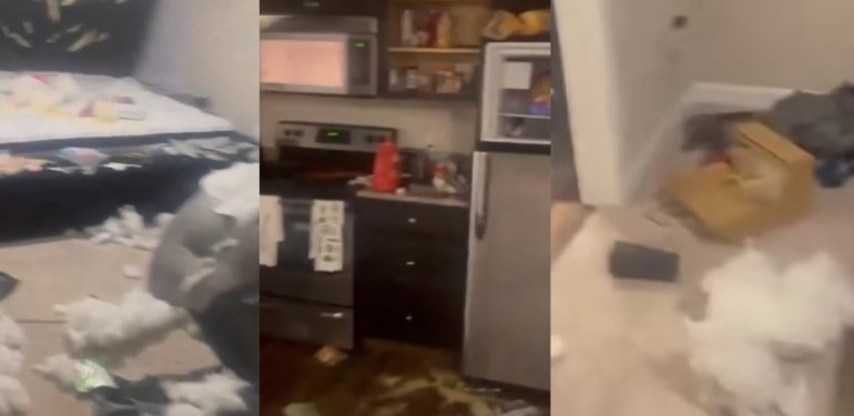 Sevgililer Günü’nde erkek arkadaşından hediye alamayan kadın çılgına döndü! O anları sosyal medyada paylaştı