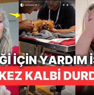 Seren Serengil Yoğun Bakıma Kaldırılan Köpeği İçin Gözyaşları İçinde Kan Yardımı İsteyerek Yürekleri Parçaladı