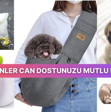 Köpeğinizin Kuyruğunun Sevinçle Sallanmasını Sağlayacak 15 Şey