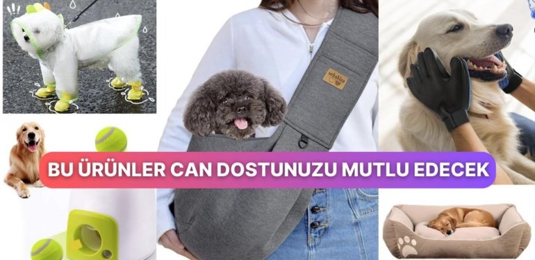 Köpeğinizin Kuyruğunun Sevinçle Sallanmasını Sağlayacak 15 Şey