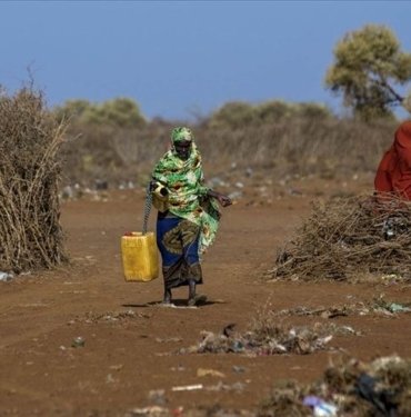 Kuraklıktan etkilenen Somalililere hayvancılık sigortası umut oldu
