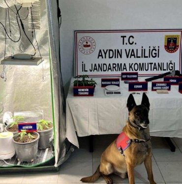 Kuşadası’nda uyuşturucu operasyonu