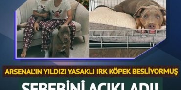 Gerçek ortaya çıktı: Arsenal