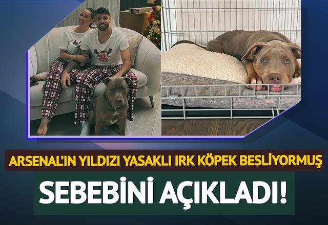Gerçek ortaya çıktı: Arsenal
