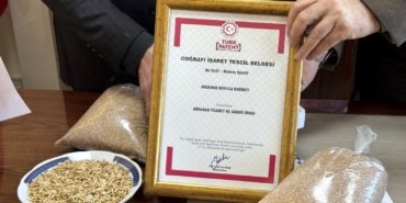 Ata buğdayı kavılca coğrafi işaret aldı