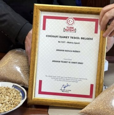 Ata buğdayı kavılca coğrafi işaret aldı