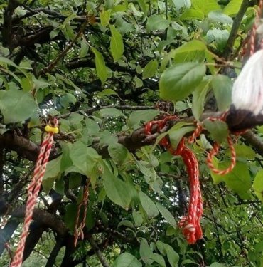 Baba Marta (Marta Nine) günleri ne zaman başlar?