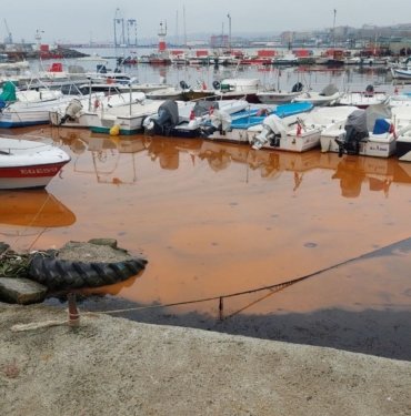 Marmara’da korkutan görüntüler: Rengi değişiyor, denizanası istilası yayılıyor
