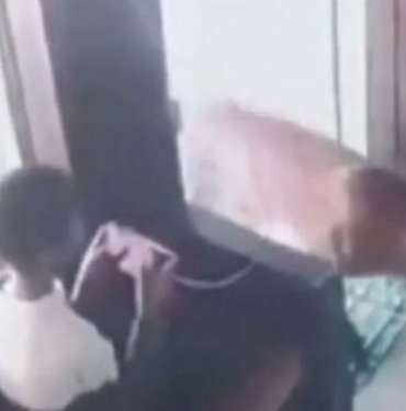 Telefonla oynarken ofise leopar girdi | Küçük çocuğun soğukkanlılığı şaşırttı
