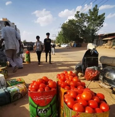 Sudan’da 25 milyon kişi risk altında: “Tarihin en büyük açlık krizi”