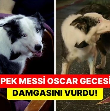 “Bir Düşüşün Anatomisi” Filmiyle Ünlenen Köpek Messi Hollywood Bulvarı’ndaki Matt Damon’ın Yıldızına İşedi!