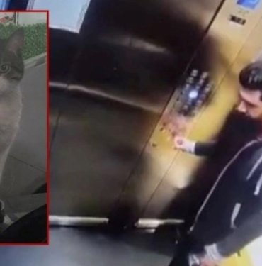 Eros’un katili İbrahim Keloğlan yeniden hakim karşısında: Hayvanseverlerin tutuklansın çağrısı sürüyor