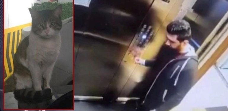 Eros’un katili İbrahim Keloğlan yeniden hakim karşısında: Hayvanseverlerin tutuklansın çağrısı sürüyor