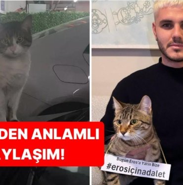 Galatasaray’ın Yıldız Futbolcusu Mauro Icardi, Davası Yarın Görülecek Kedi Eros İçin Adalet Çağrısında Bulundu