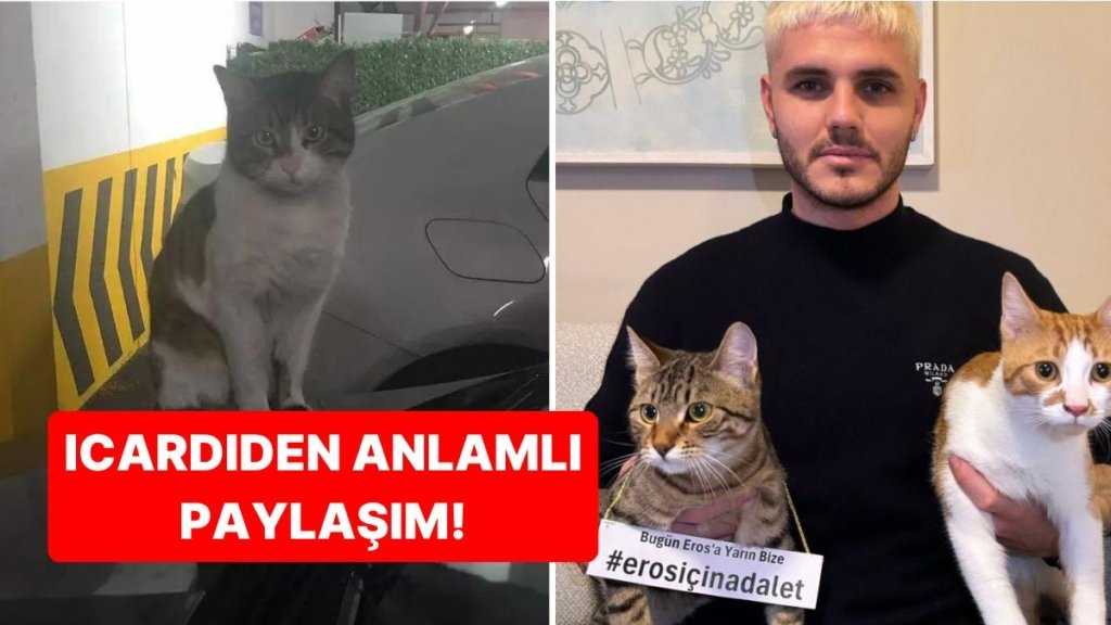 Galatasaray’ın Yıldız Futbolcusu Mauro Icardi, Davası Bugün Görülen Kedi Eros İçin Adalet Çağrısında Bulundu