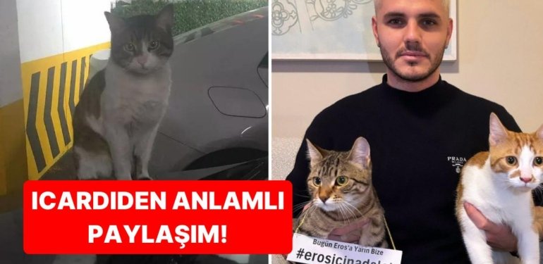 Galatasaray’ın Yıldız Futbolcusu Mauro Icardi, Davası Bugün Görülen Kedi Eros İçin Adalet Çağrısında Bulundu