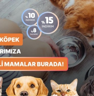 Amazon’da Bahar Coşkusu: Kedi ve Köpek Dostlarınız İçin İndirimli Mamalar