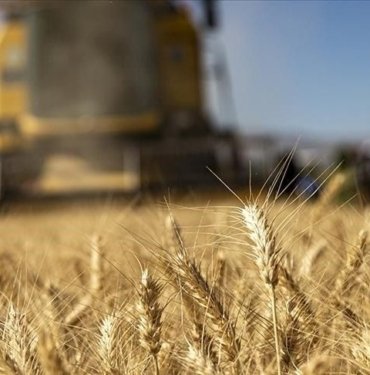 Üreticiler, belediyelerden beklentilerini açıkladı