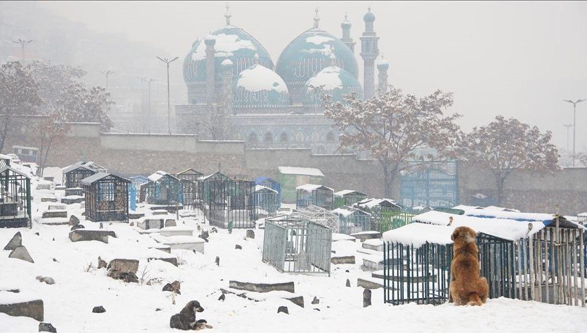 Afganistan’da olumsuz hava koşulları: 60 kişi hayatını kaybetti