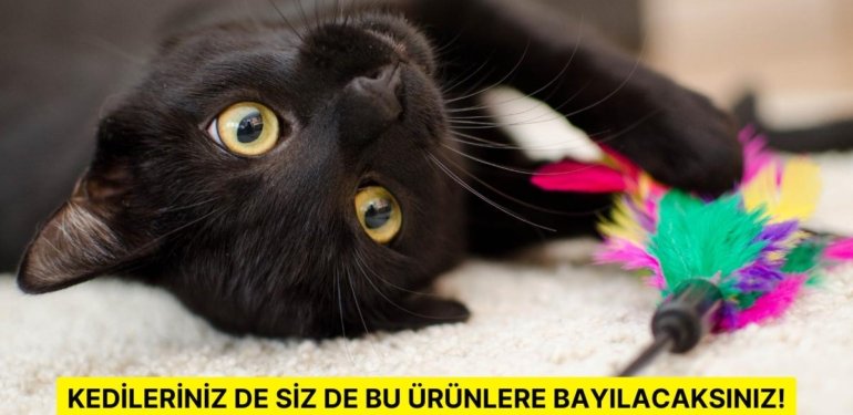 Eğer Birden Fazla Kediniz Varsa Bu 15 Ürün Hayatınızı Kolaylaştıracak!