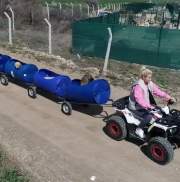 Felçli köpekler için tren yaptı