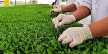 Kapalı ortamlarda bitkisel üretimde yeni kayıt sistemi
