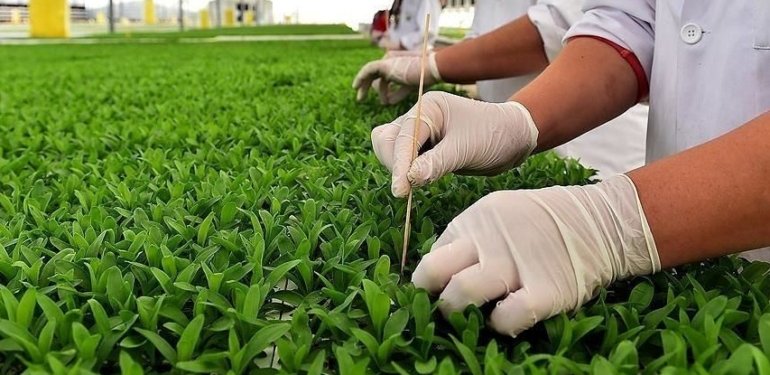 Kapalı ortamlarda bitkisel üretimde yeni kayıt sistemi