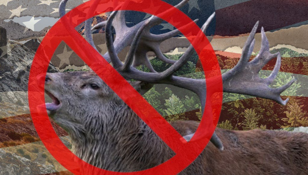 ABD’de bulunan en tuhaf yasalar: 7 eyalette 7 farklı tuhaf yasa