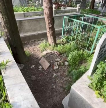20 yıl sonra gelen tutuklama: 3 kardeş babalarını ihbar etti