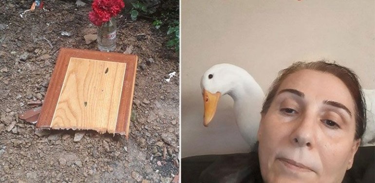 Taksinin ezdiği Pamuk isimli ördeği için adalet arıyor: “Çocuğum gibiydi”