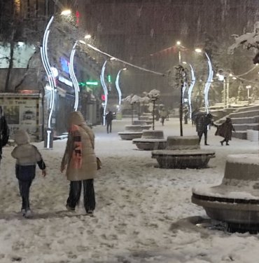 Van’da 446 yerleşim yerinin yolu kapandı