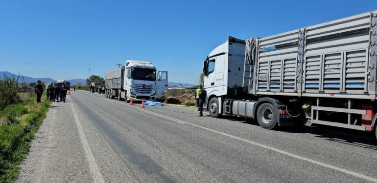 Arızalanan araçtan indi, TIR çarptı