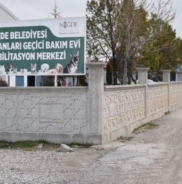 Jandarma harekete geçti: Dövüştürülen 2 köpek barınaktan çalındı