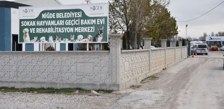 Jandarma harekete geçti: Dövüştürülen 2 köpek barınaktan çalındı