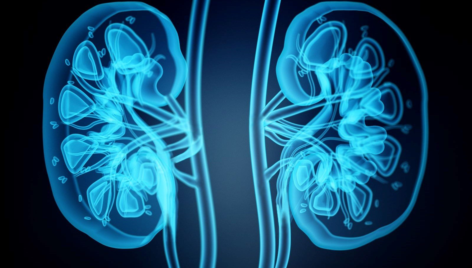 ABD’de bir ilk | Hastaya genetiği değiştirilmiş domuz böbreği nakledildi