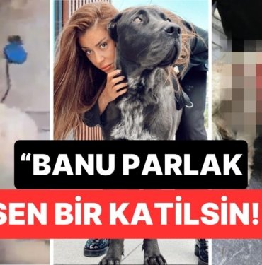 Banu Parlak’ın Tasmasız Gezdirdiği Söylenen Köpeği Drogo Komşunun Köpeğini Öldürdü!