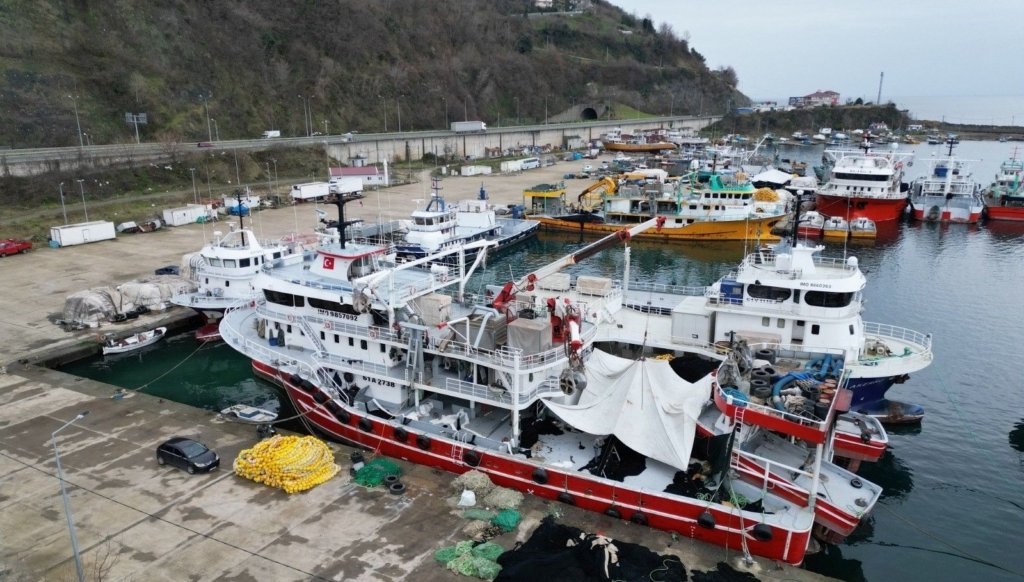 Karadeniz’de balığa erken veda