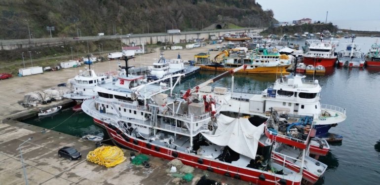 Karadeniz’de balığa erken veda