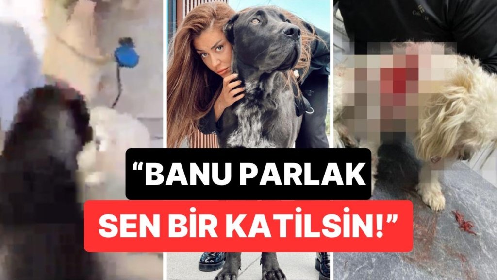 Banu Parlak’ın Tasmasız Gezdirdiği Köpeği Komşunun Köpeğini Öldürdü: Fenomenden İlk Açıklama Geldi!