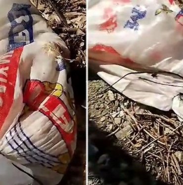 Keşan’da dehşete düşüren görüntüler: Ağzı bağlı 4 çuvalın içinden 14 yavru köpek çıktı